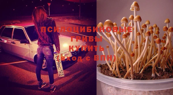 a pvp Балабаново