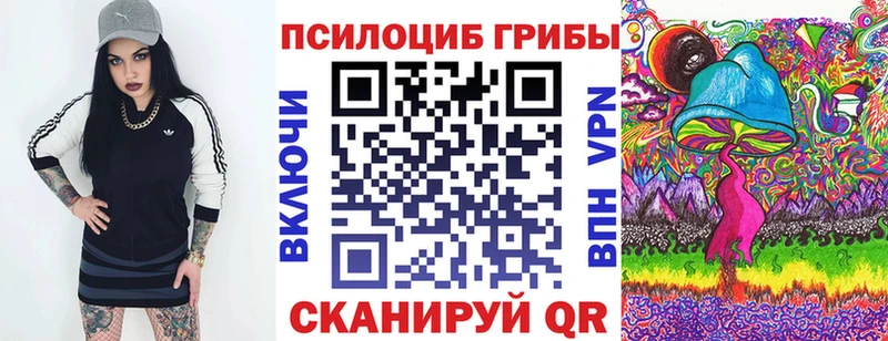 где купить   Верхняя Салда  Псилоцибиновые грибы мицелий 